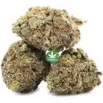 Waffle Cone A - Indica - Image 2