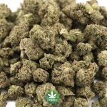 Wholesale - Larry Bird - AAAA