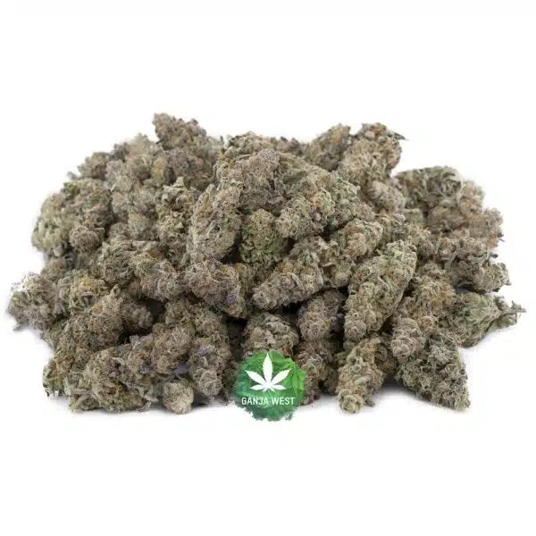 Wholesale - Zookies - Craft