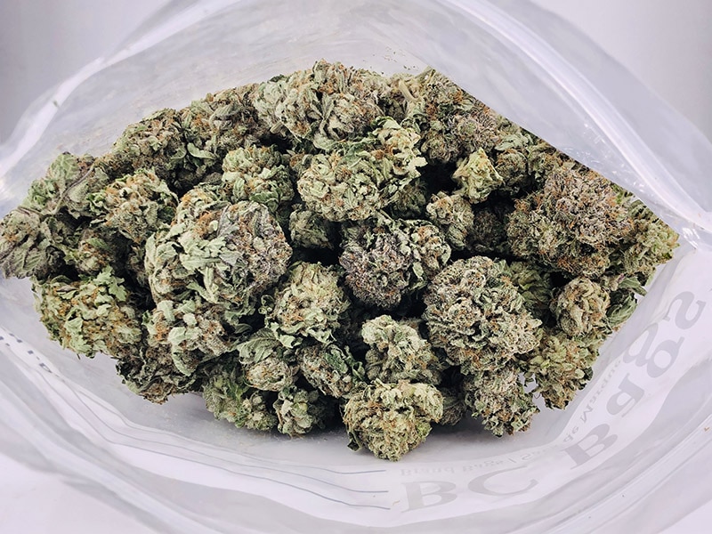 buy-weed-online-dispensary-ganjawest-purple-afghani-aaaa-wholesale-1.jpg