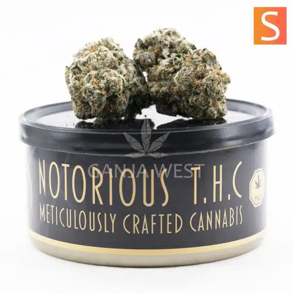 Notorious THC Craft - Jack the Ripper (7 Grams)