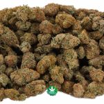 Wholesale - A Popcorn - Strawberry Cough - Sativa