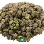Sensi Star A - Indica - Image 2