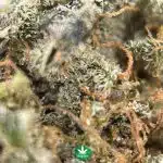 Kali Mist AAA - Sativa - Image 3