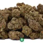 AAAA - Purple Champagne - Sativa - Image 2
