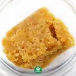 Crumble - Orange Cake - Hybrid - Image 3