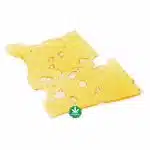 Shatter - Dirty Girl - Sativa