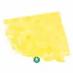 Shatter - Grape Cookies - Indica - Image 2