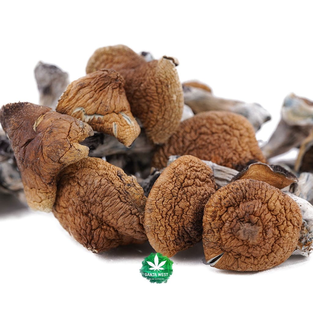 buy-weed-online-ganjawest-dispensary-mushrooms-syzygy-wholesale-1.jpg