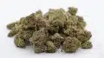 Dutch Treat AA - Indica - Image 2