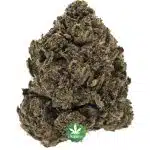 Peyote Cookies AA - Indica