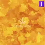 Caviar - Redbull - Indica - Image 2