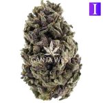 Blueberry Cookies A - Indica