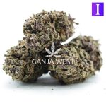 Wholesale - Blueberry Cookies - A - Image 3
