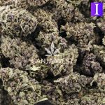 Wholesale - Blueberry Cookies - A