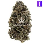 Wholesale - Obama Kush - A - Image 2