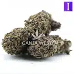 Obama Kush A - Indica - Image 2