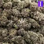 Obama Kush A - Indica - Image 3