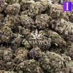 Wholesale - Obama Kush - A