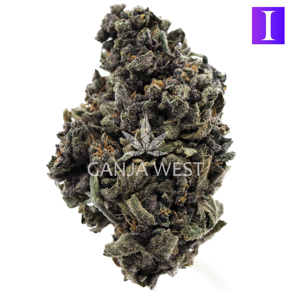 buy-weed-online-dispensary-ganja-west-purple-mayhem-a-nug-1.jpg