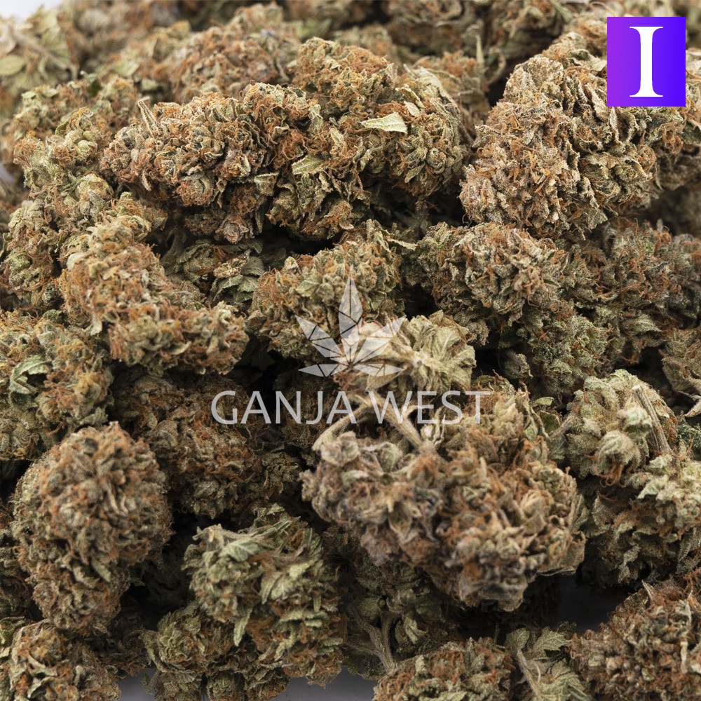 buy-weed-online-dispensary-ganja-west-tom-ford-bubba-kush-aa-wholesale.jpg