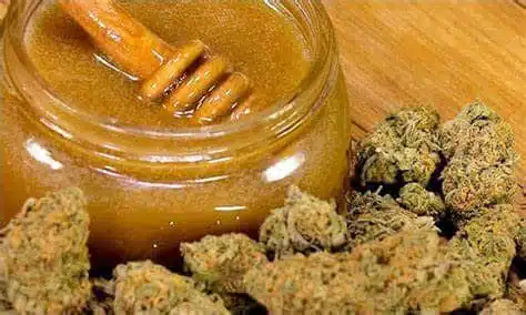 weed canna honey