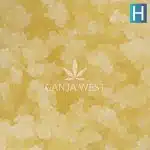 lemon oasis caviar crop