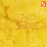 gelato dream diamond crop