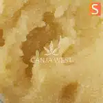 Live Resin - Maui Mist - Sativa - Image 2