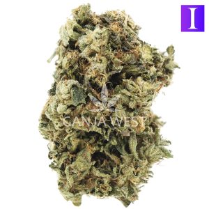 big bubba diesel a nug