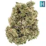 Gelatti Cookies A - Hybrid