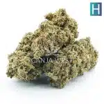 gelatti cookies a three nug