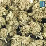 gelatti cookies a wholesale