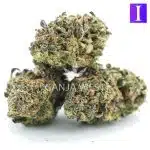 Girl Scout Candy A - Indica - Image 2