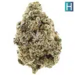 Grape MAC AA - Hybrid