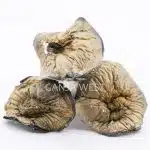 Shrooms - Makilla Gorilla