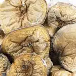 Wholesale - Shrooms - Makilla Gorilla