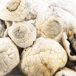 Wholesale - Shrooms - Thrasher