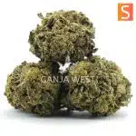 nepali pink aa three nug