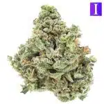 Velvet Hammer AA - Indica