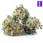 Velvet Hammer AA - Indica - Image 2