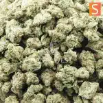 lavender jones popcorn aaaa crop