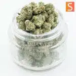 AAAA Popcorn - Lavender Jones