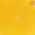 honey comb sauce crop