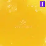 peach ringz sauce crop