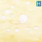 91 chemdawg shatter crop