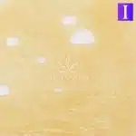 sugar black rose shatter crop