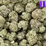 bubba diesel aa wholesale