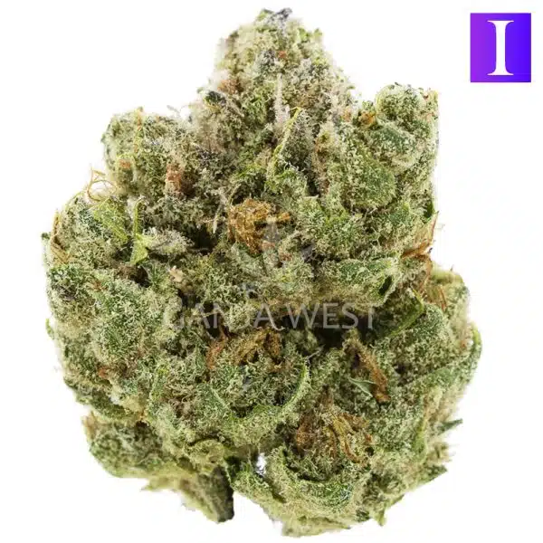 Cali Big Bud Craft - Indica