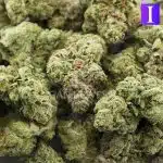 cali big bud craft wholesale